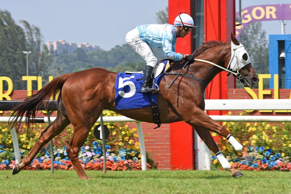 Elite Prince racing